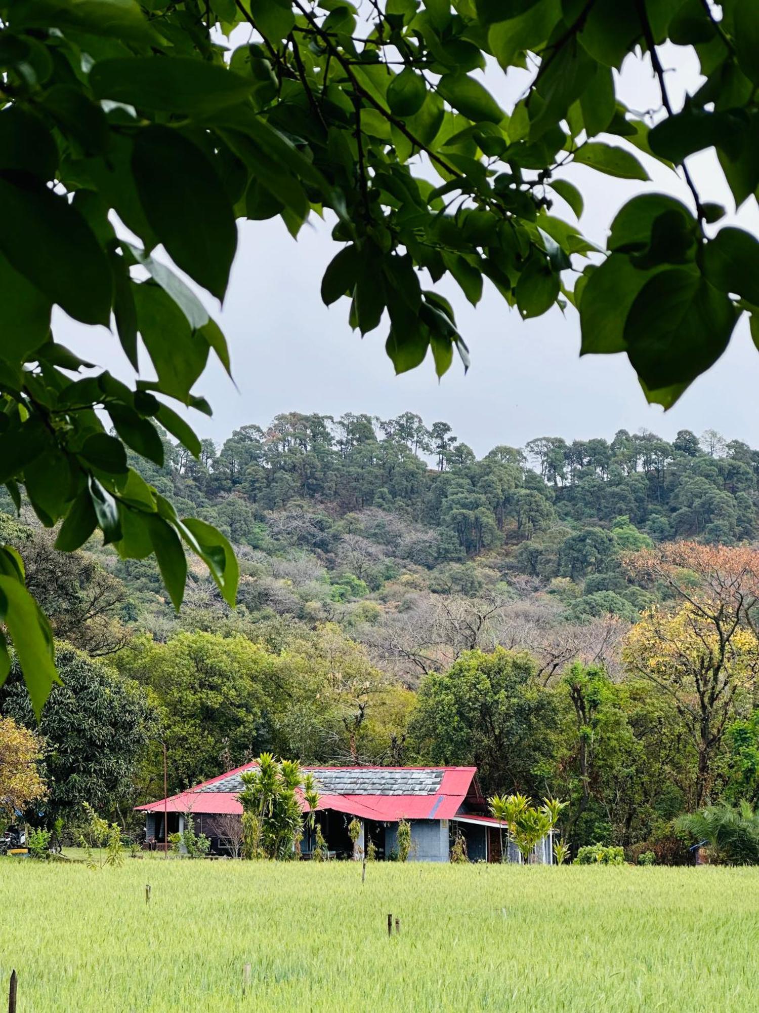 Albergue Dreamwoods A Travellers Farm Dharamshala Exterior foto