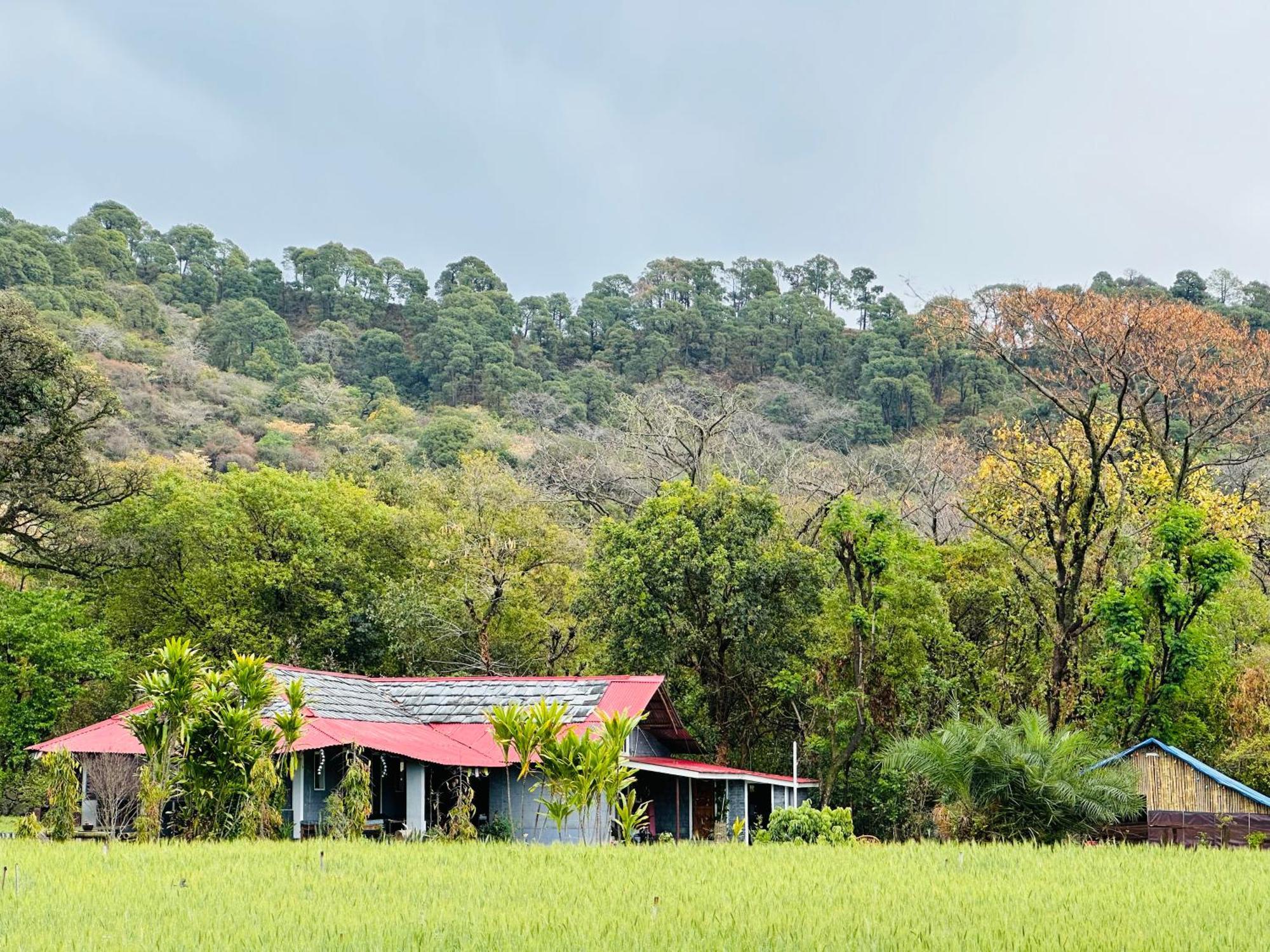 Albergue Dreamwoods A Travellers Farm Dharamshala Exterior foto