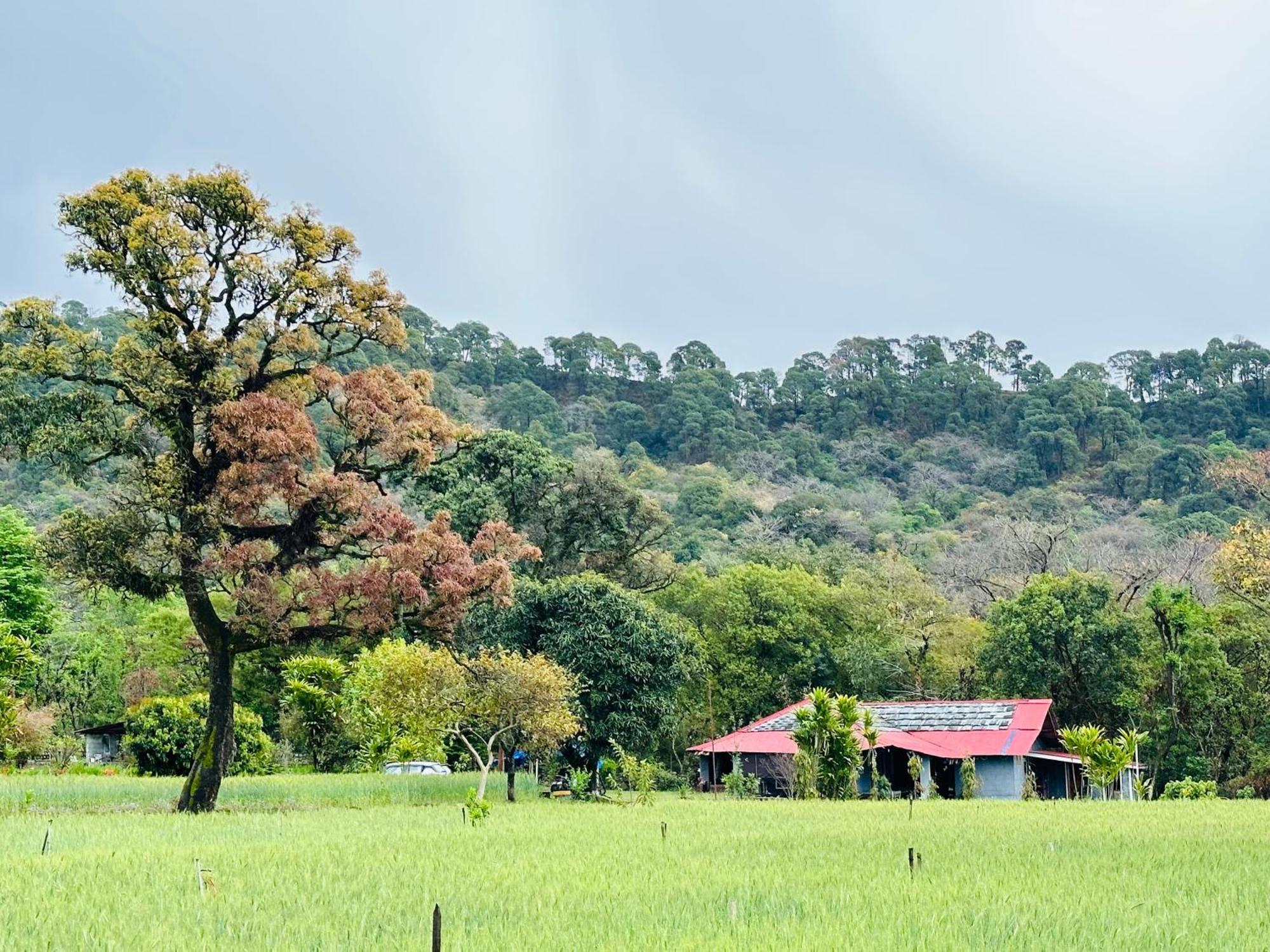 Albergue Dreamwoods A Travellers Farm Dharamshala Exterior foto
